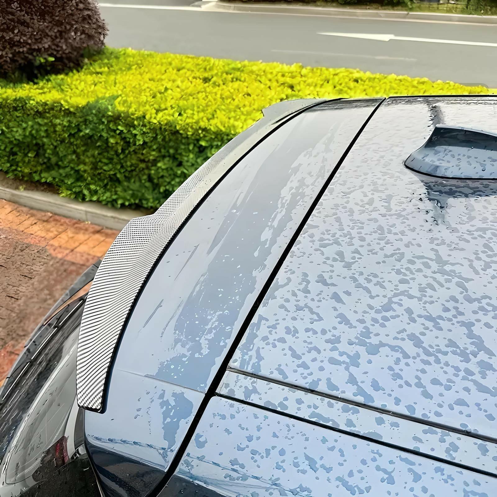 BMW Tail Wing 1 Series F20 F21 (2011 - 2019)