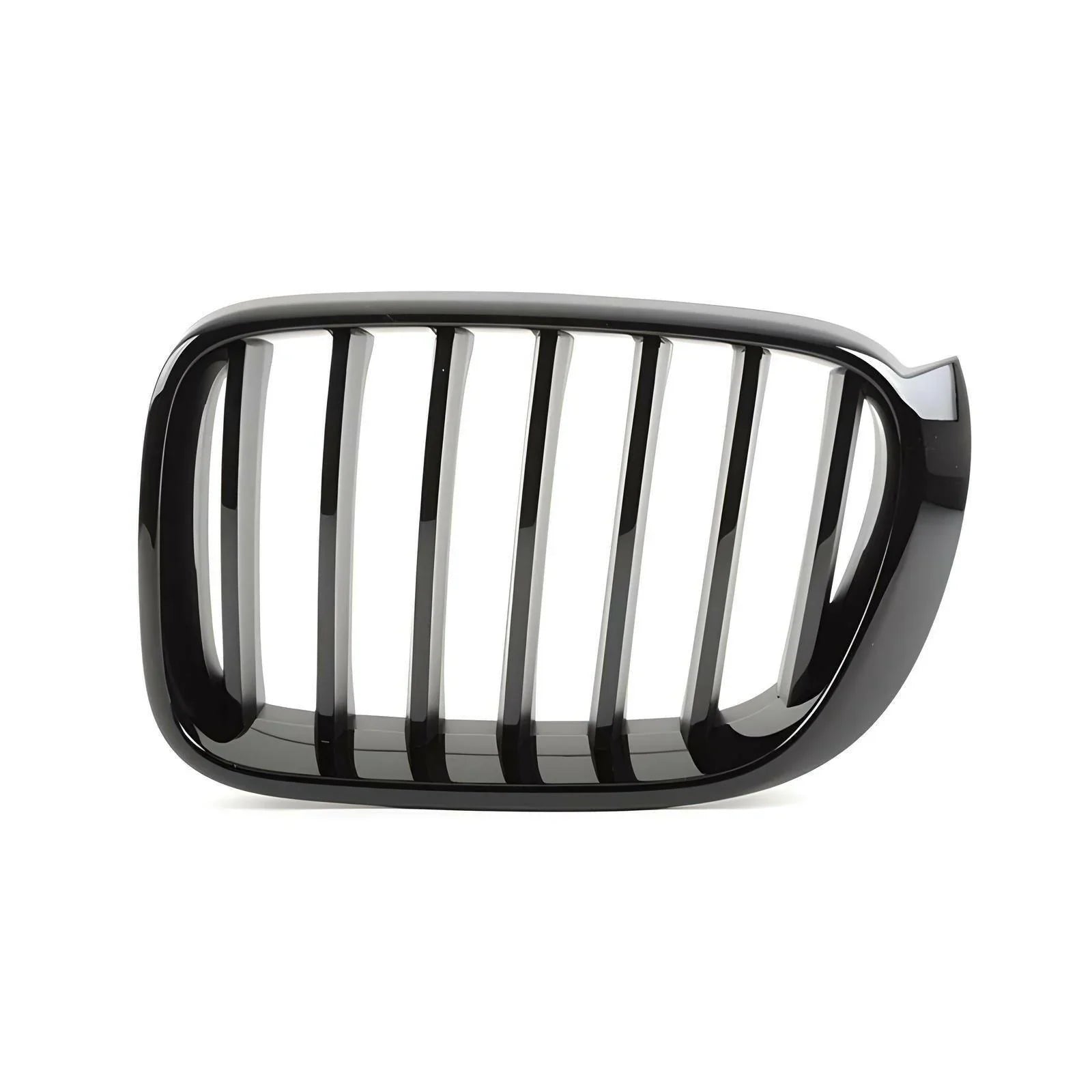 BMW Kidney Grille | X3 X4 F25 F26 (2014 - 2017)